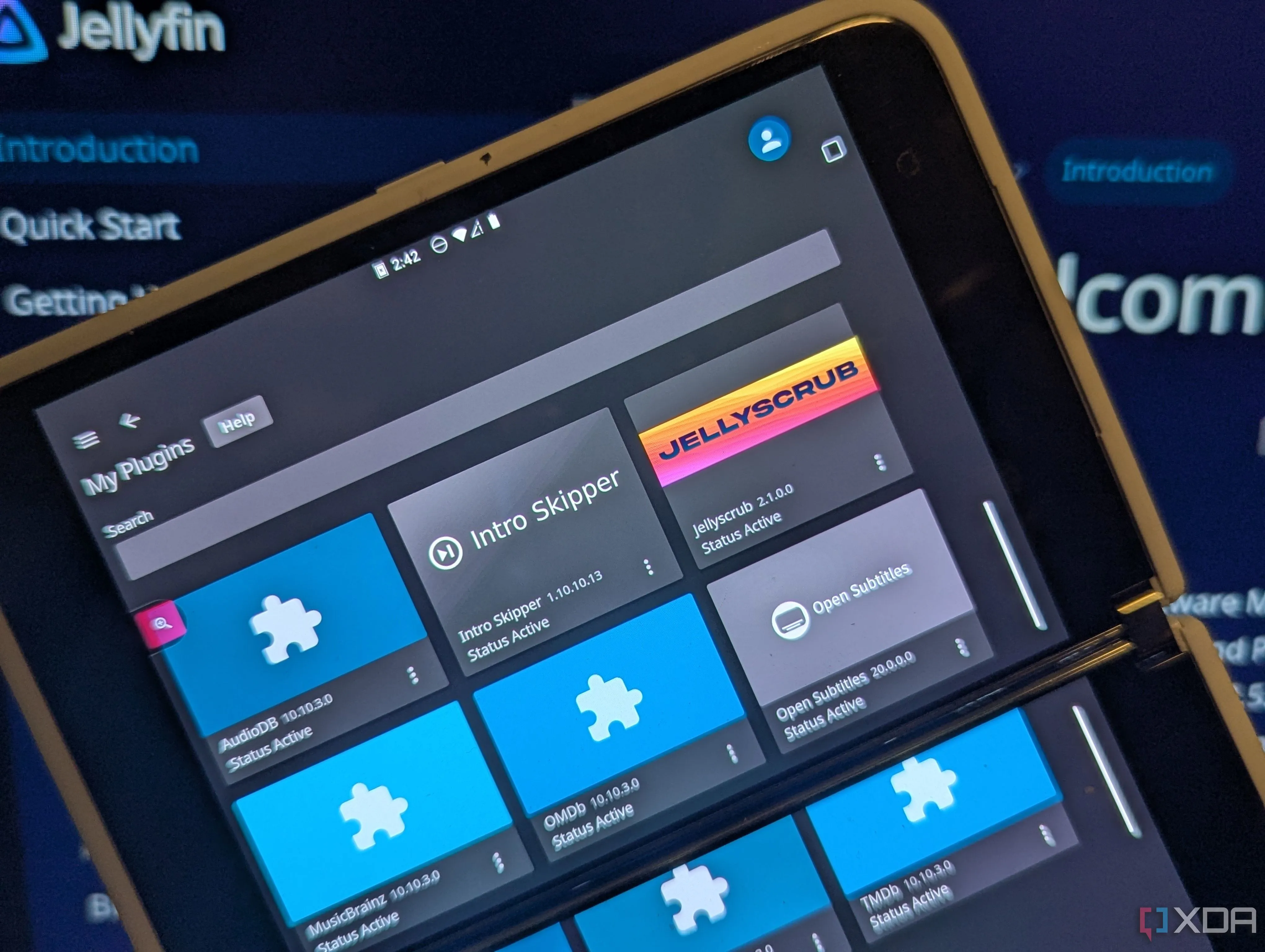 Màn hình cài đặt plugin cho Jellyfin, một phần mềm quản lý media tự lưu trữ