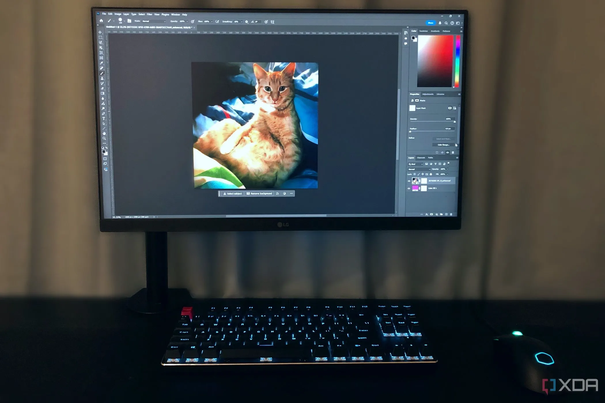 Một con mèo gừng được chỉnh sửa ảnh trong Photoshop trên máy tính để bàn, minh họa cho việc sử dụng công cụ Chọn và Tạo Mặt nạ (Select and Mask) để tách đối tượng.