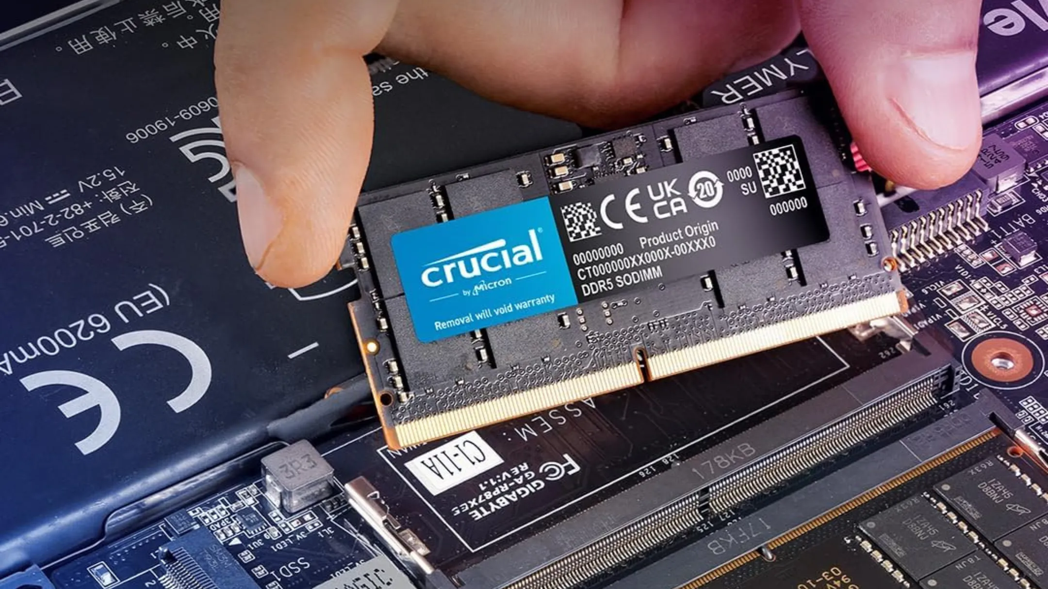 Bộ RAM DDR5 Crucial 64GB được lắp đặt gọn gàng trong khoang nâng cấp của một chiếc laptop
