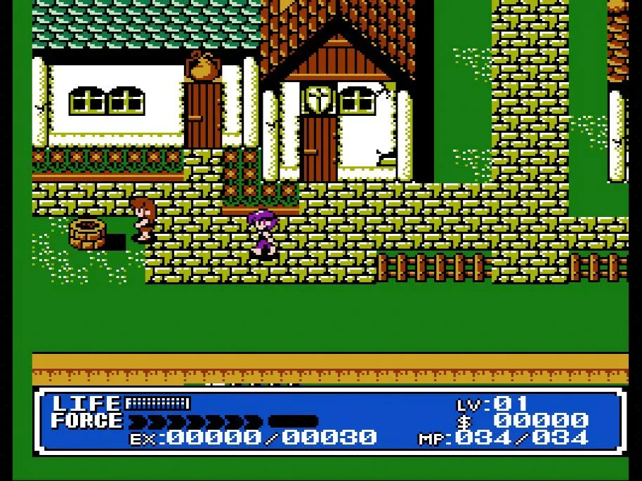 Cảnh gameplay của Crystalis trên NES với nhân vật chính chiến đấu trong thế giới hậu tận thế