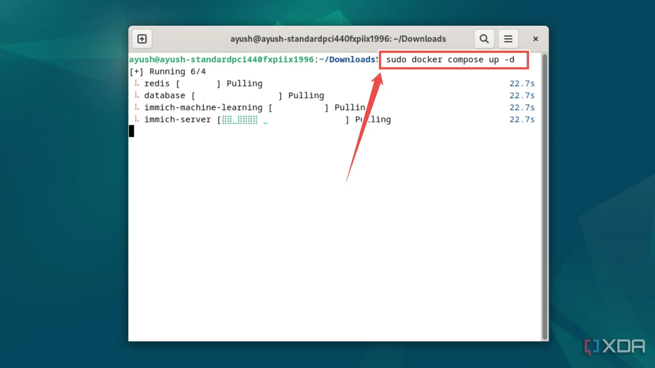 Chạy lệnh docker compose up -d để triển khai Immich container trên hệ thống của bạn