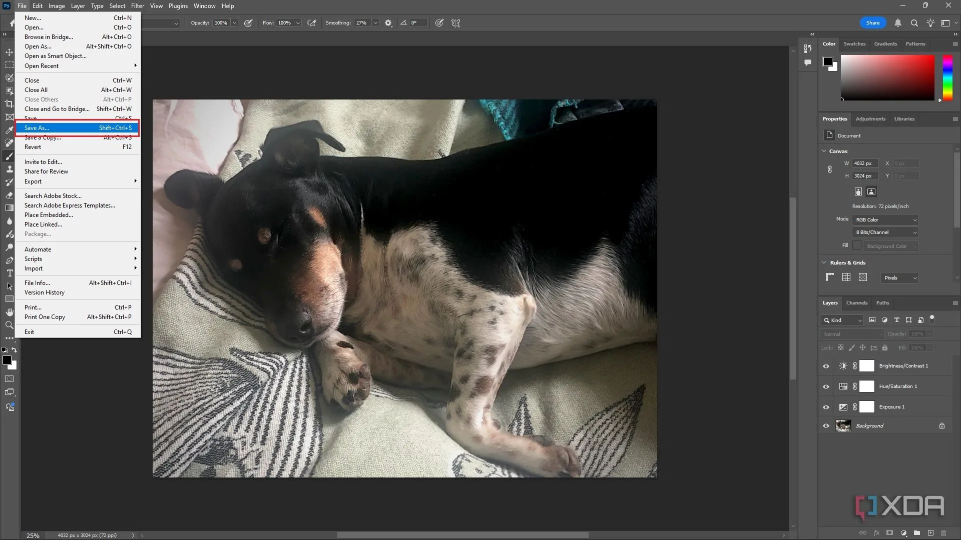 Chọn vị trí lưu mặc định trong Photoshop, ảnh chú chó trong cửa sổ chỉnh sửa