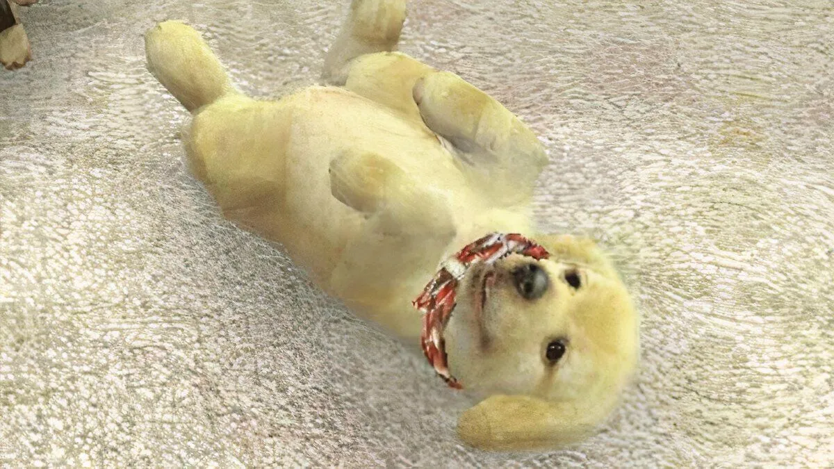 Chú chó Golden Retriever đáng yêu trong game Nintendogs, biểu tượng cho việc nuôi thú cưng ảo trên Nintendo Switch 2
