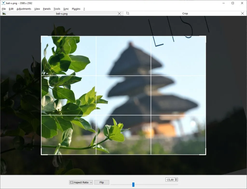 Giao diện công cụ cắt ảnh (crop tool) trong Nomacs, thể hiện khả năng chỉnh sửa ảnh tích hợp