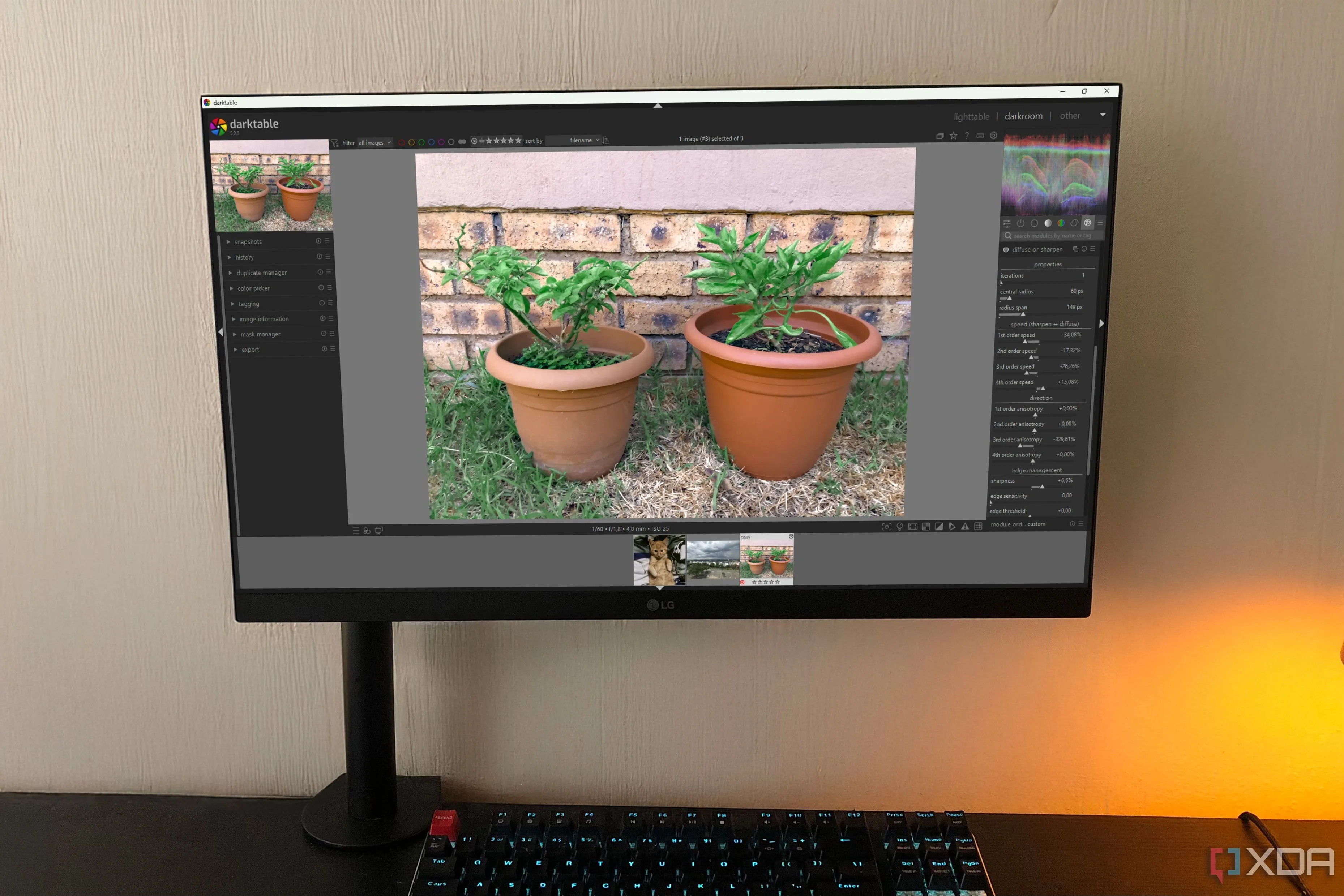 Giao diện Darktable trên máy tính bàn, hiển thị ảnh chậu cây
