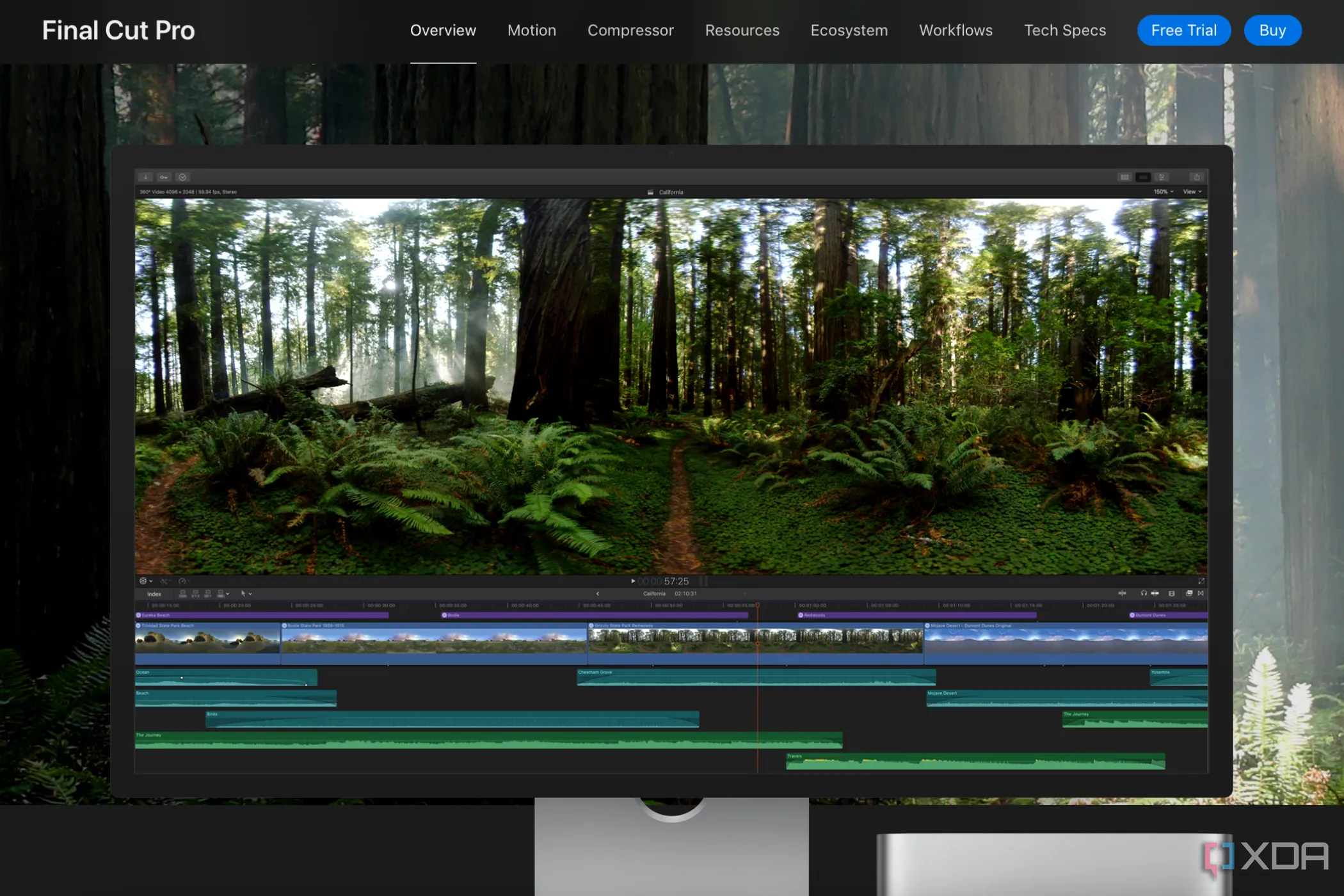 Giao diện phần mềm chỉnh sửa video Final Cut Pro với timeline đang xử lý cảnh quay rừng