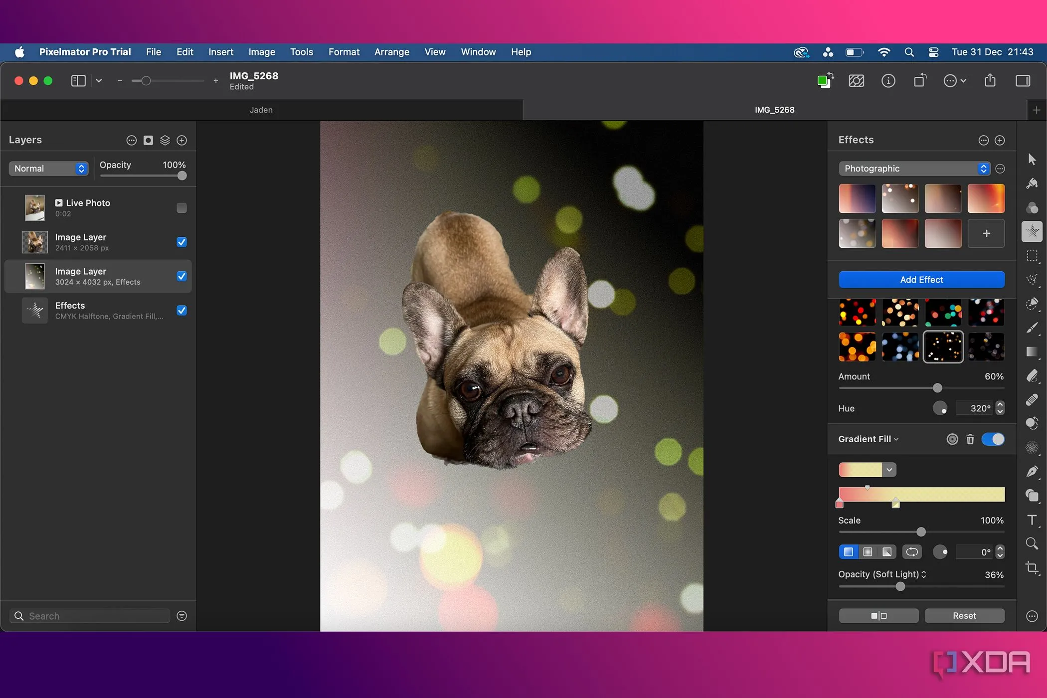 Hiệu ứng Bokeh được tạo bằng tính năng AI trong Pixelmator Pro, thể hiện khả năng làm mờ hậu cảnh thông minh.