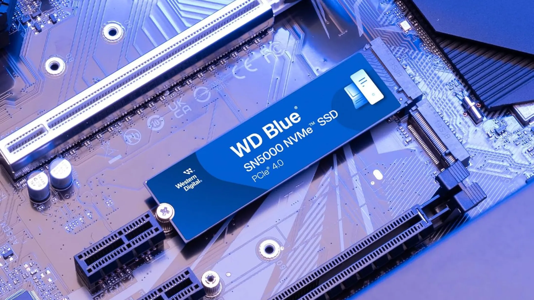 Hình ảnh cận cảnh ổ cứng WD Blue SN5000 M.2 4TB thể hiện kích thước nhỏ gọn và cổng kết nối NVMe