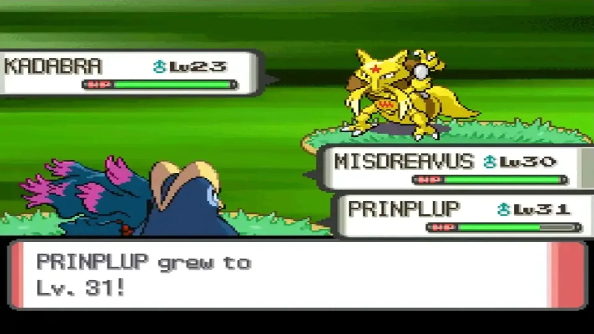 Hình ảnh chụp màn hình một trận đấu đôi trong Pokémon Pearl