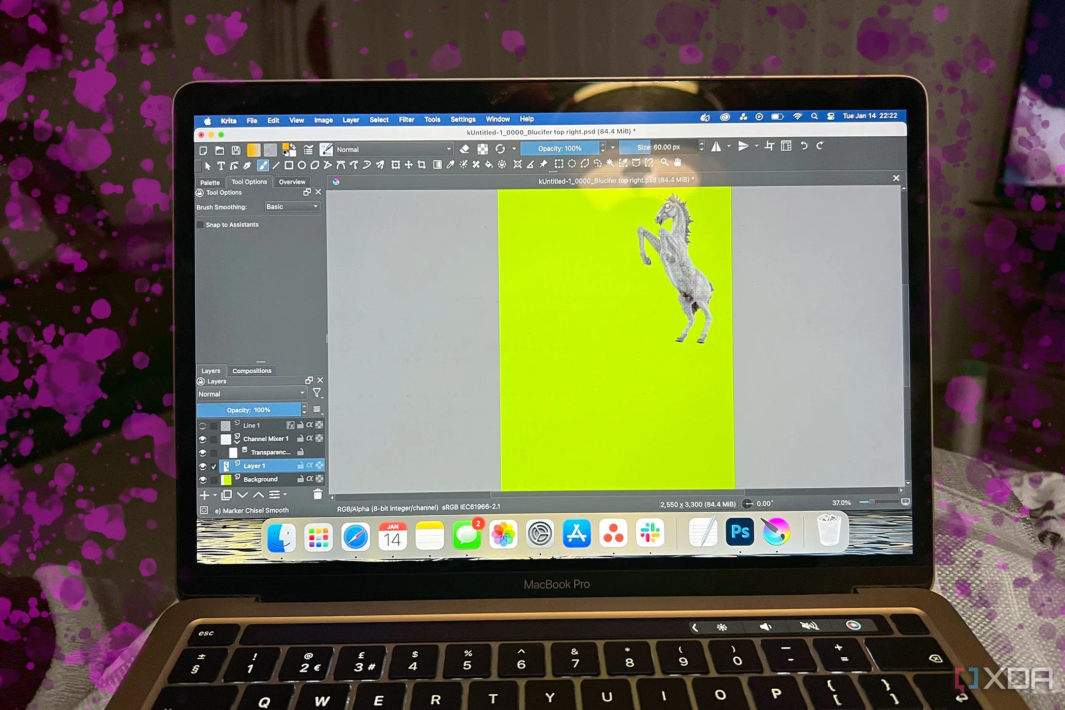 Krita trên MacBook với các vệt màu hồng xung quanh