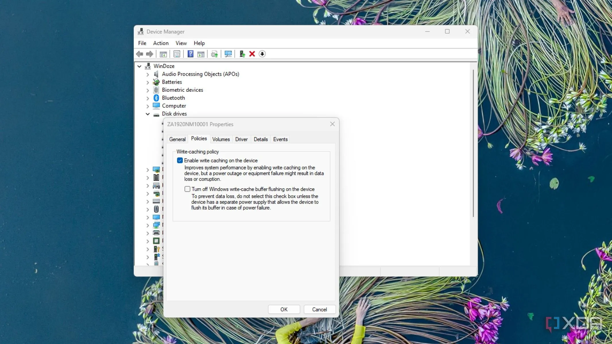 Màn hình quản lý thiết bị Windows hiển thị tùy chọn bộ nhớ đệm ghi đã được bật cho ổ đĩa lưu trữ
