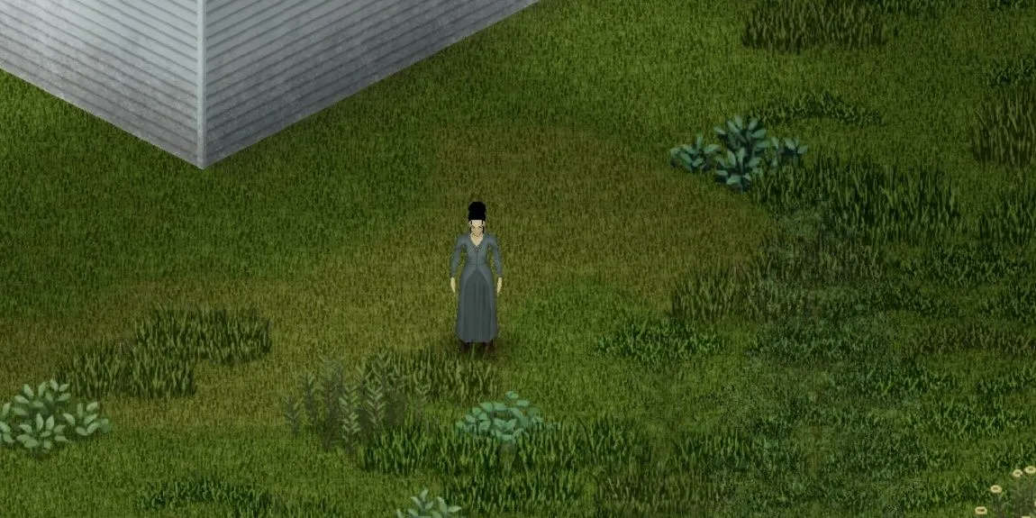 Phía trên mái nhà trong Project Zomboid, cảnh vật xung quanh hoang tàn