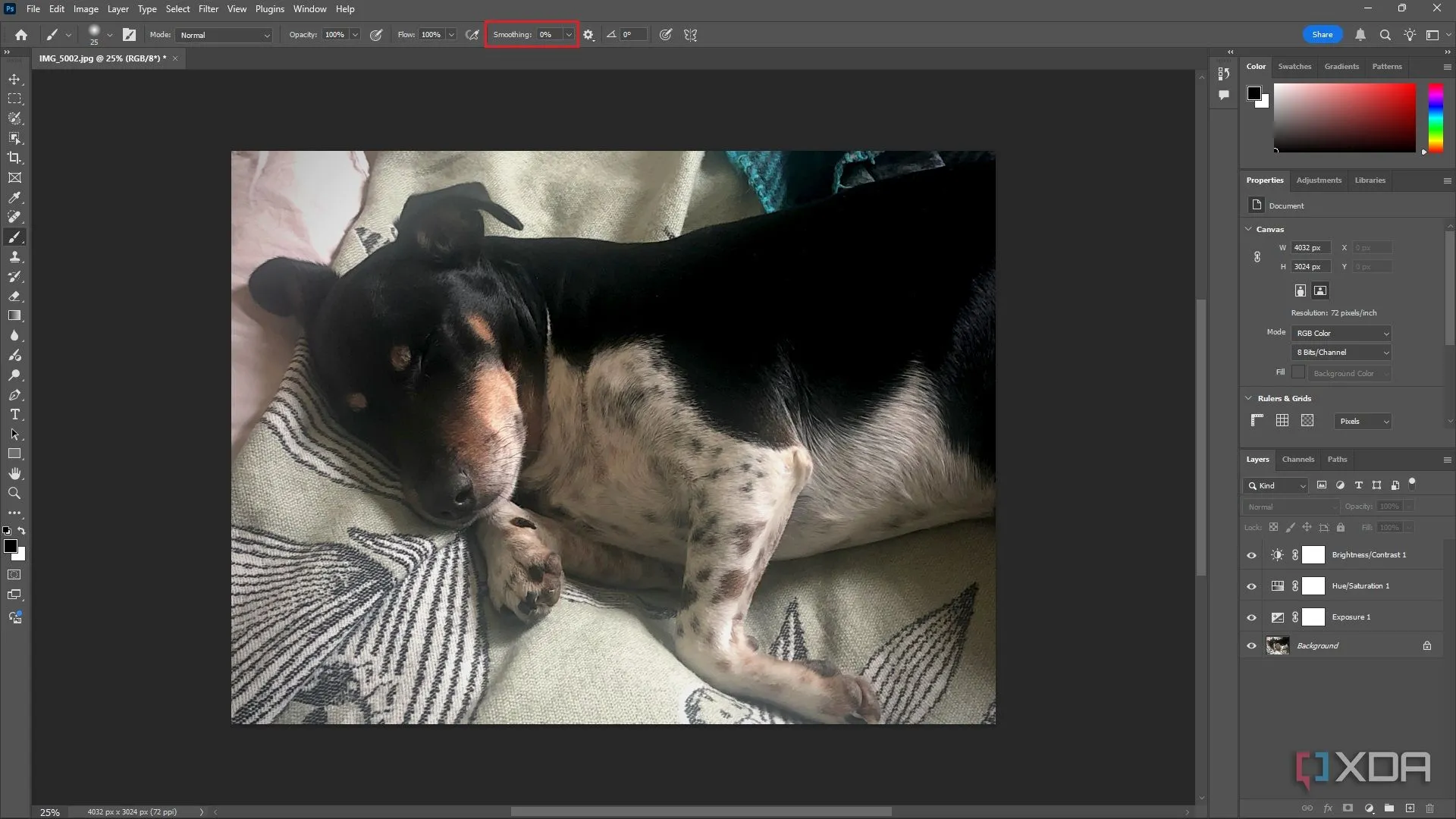 Tắt tính năng Brush Smoothing trong Photoshop, ảnh chú chó trong cửa sổ chỉnh sửa