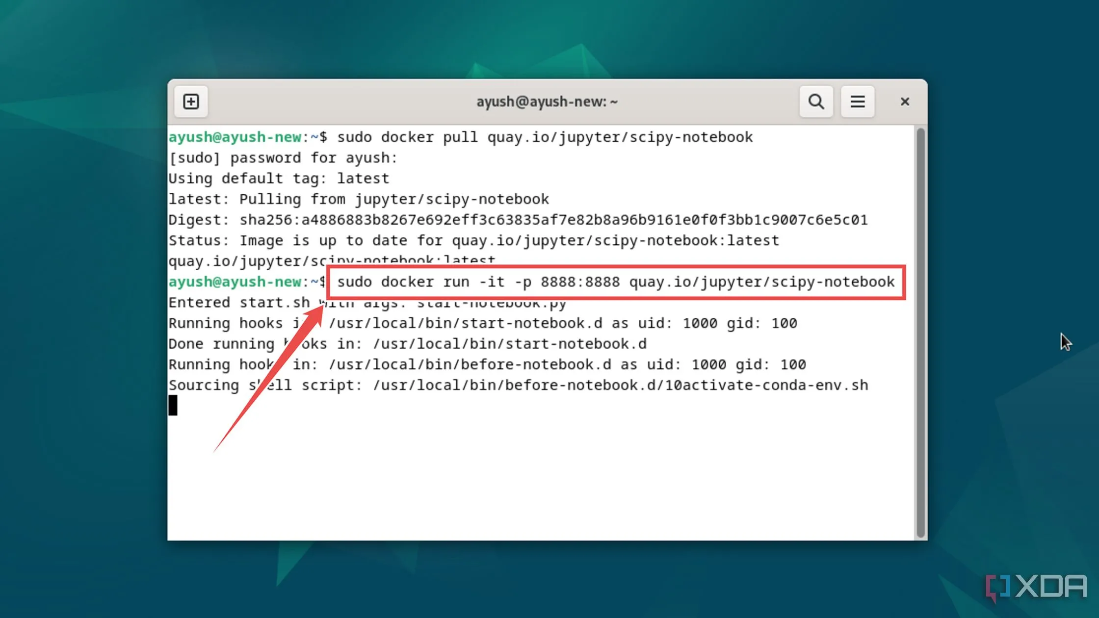 Thực thi lệnh docker run để khởi chạy container Jupyter Notebook và ánh xạ cổng