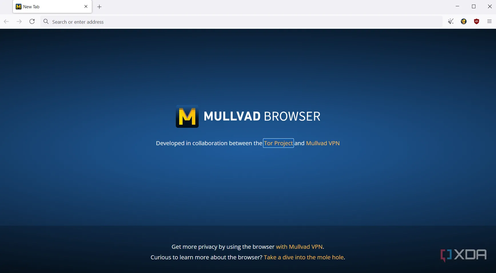 Trang chủ trình duyệt Mullvad Browser với thiết kế tối giản