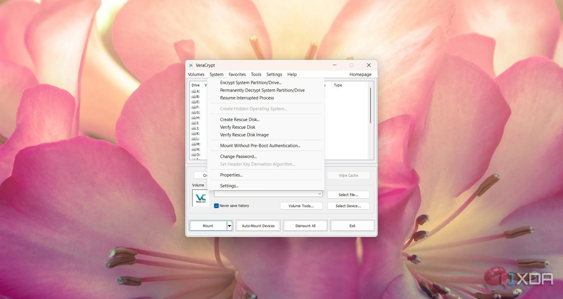 Tùy chọn mã hóa trong phần mềm VeraCrypt, thể hiện các cài đặt bảo vệ dữ liệu trên ổ đĩa