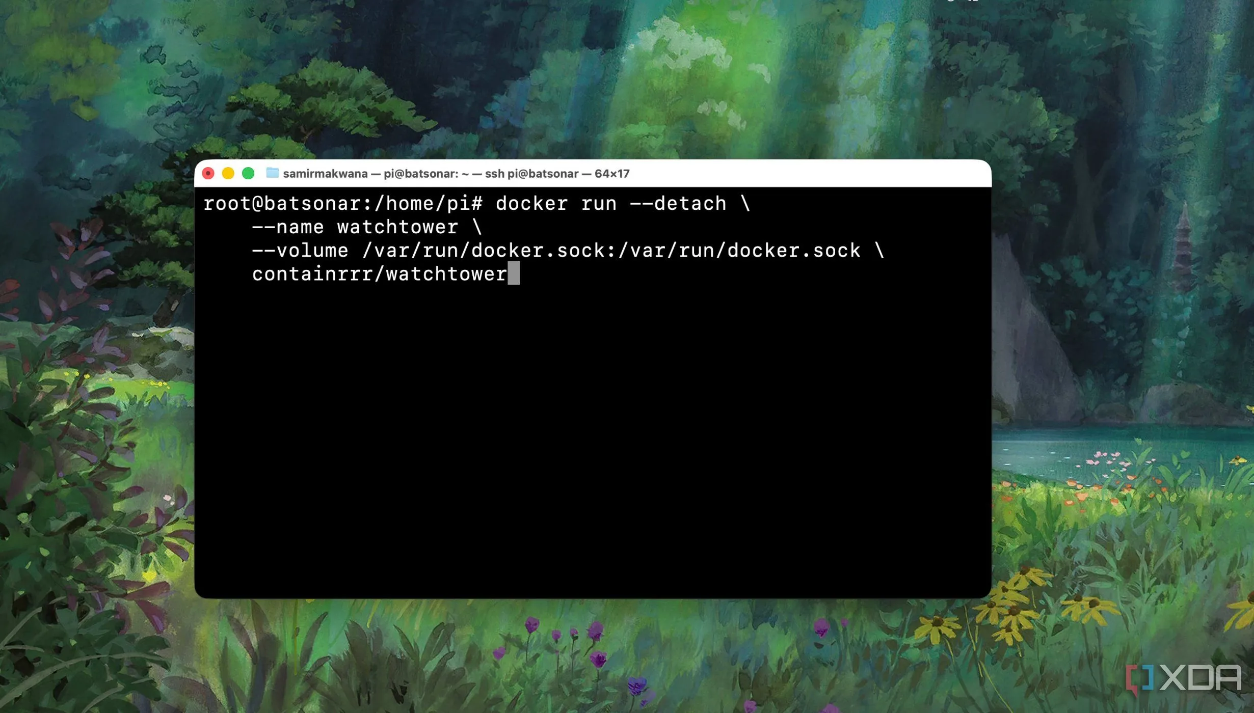 Ví dụ lệnh docker run trong Terminal, thể hiện cách triển khai container thủ công