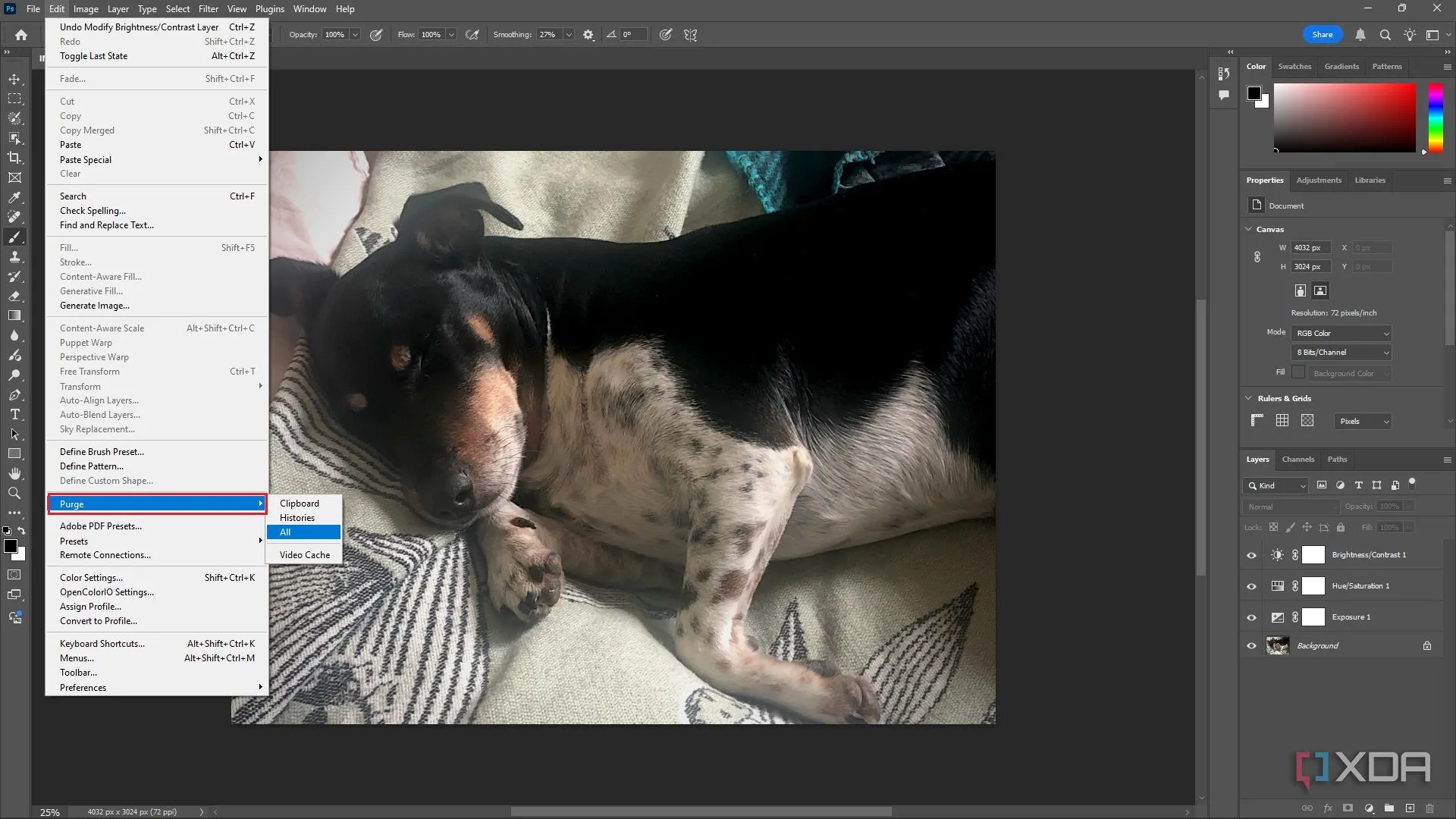 Xóa toàn bộ bộ nhớ trong Photoshop, ảnh chú chó trong cửa sổ chỉnh sửa